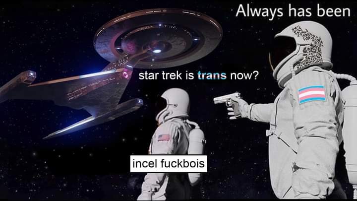 This meme is a play on the classic "Star Trek" question "Are you still a Star Trek fan?" but with a twist. The image shows a person asking "Are you still a Star Trek fan?" to which the response is "In 2-3 sentences, describe this meme for someone who cannot see it. Include any text that appears in the image." The text in the image reads "Star Trek" is now "Trans" and the response is "In 2-3 sentences, describe this meme for someone who cannot see it. Include any text that appears in the image."